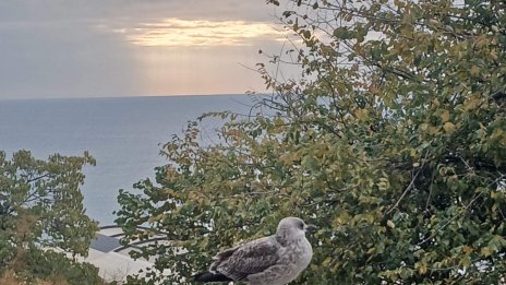 Слънчево, но студено време днес