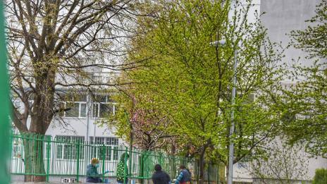 Боядисват оградите на СУ "Найден Геров" във Варна (СНИМКИ)
