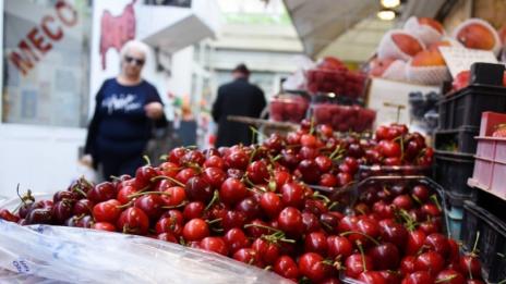 Около 70% от плодовата реколта поразена заради студа