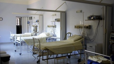 Западнонилската треска взе първите си жертви у нас