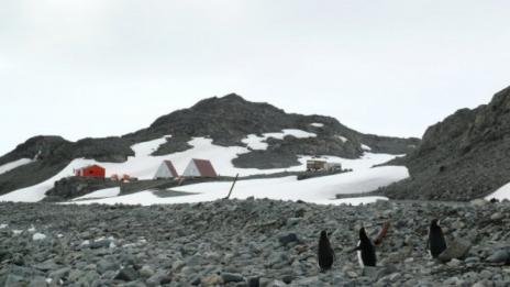 Антрактиците ни заседнаха в Чили, няма самолет за тях