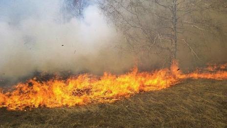 85 дка пшеница изгоряха при пожар край Варна