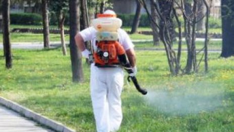 Продължават обработките срещу вредители във Варна