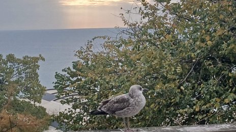 Предимно слънчево време в цялата страна днес