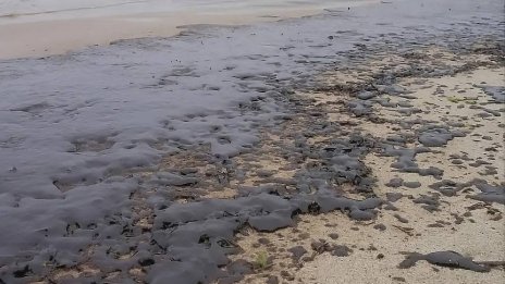 Забелязаните мазутни отлагания по крайбрежието не са в резултат на скорошен нефтен разлив