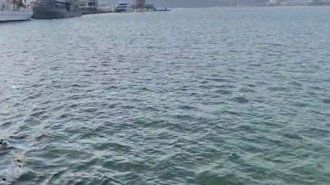 Няма замърсяване на водата по българското крайбрежие след атаката с дронове
