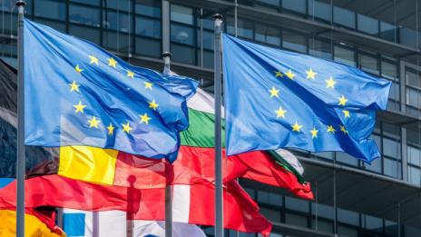 Евродепутатите обсъждат в Страсбург ролята на антиевропейските настроения