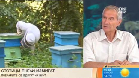 Пчелари на бунт: Хиляди пчели изчезват, изкупната цена на меда е ниска