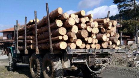 Над 1600 проверки са извършили за месец горските стражари