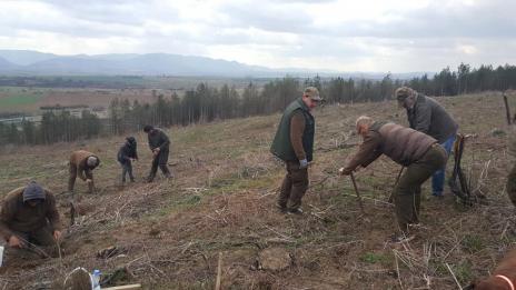 Залесяват близо 500 декара край Генерал Тошево