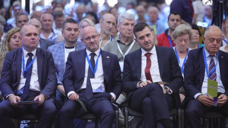 ДСБ избира нов председател
