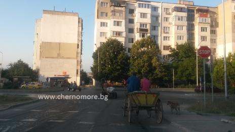 Глобиха собственици на коне във "Владиславово"
