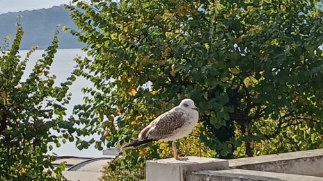 Какво ще бъде времето в понеделник?
