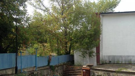 Възраждат лятно кино в курорта „Светите Константин и Елена"