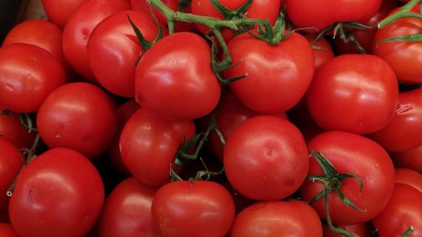76.3% е увеличението на цената на доматите за второто тримесечие на годината 