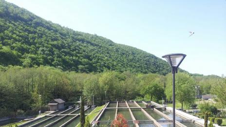 Цената на рибата скача от таксата за течаща вода