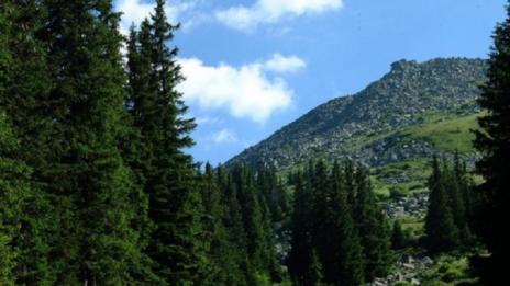И куче ще търси изгубилия се младеж на Витоша
