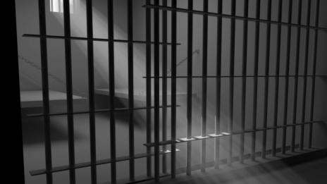 По 8 месеца затвор за трима мигранти, незаконно преминали границата на България