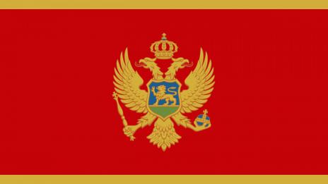 Черна гора възстановява доброволната военна служба