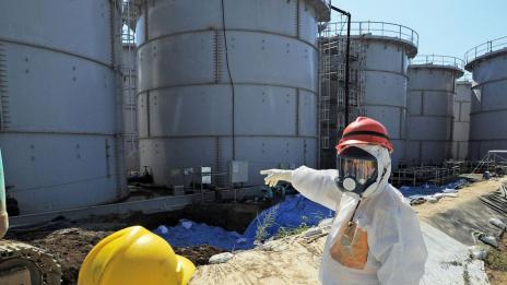 Мляко от Фукушима тръгва към магазините