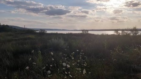 Взеха проби от Варненското езеро след сигнали за замърсяване и мъртви делфини