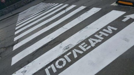 Софиянец помете възрастна столичанка на пешеходна пътека във Варна