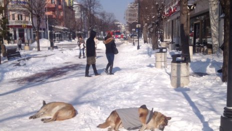 Слънцето изкара хората по ларгото във Варна