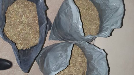 Задържаха двама с 11 кг марихуана