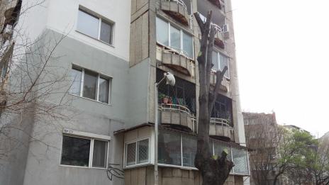 През куп за грош