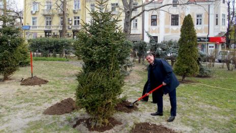 В район „Одесос“ напредва пролетното засаждане на дървета и цветя