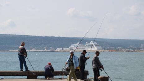 По-чистата морска вода помогна за рекордния улов на риба тази година
