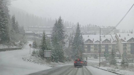 Снежната покривка в Пампорово е близо 10 сантиметра