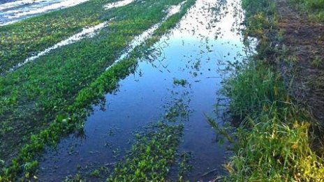 Пороят унищожи земеделски насаждения във Варненско