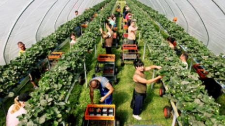 Край на работата за българи в Англия