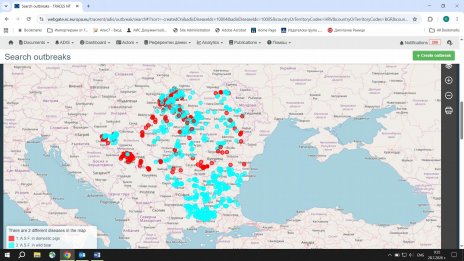 БАБХ започва проверки за спазването на мерките за биосигурност в свиневъдните стопанства