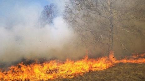 Горяха сухи треви над Околовръстния път