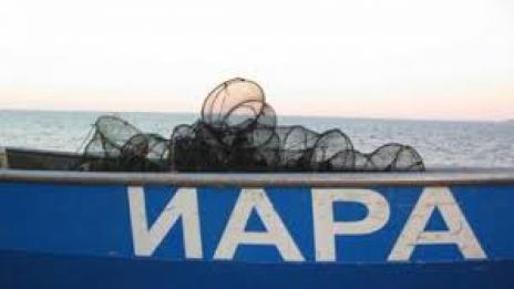 387 удостоверения за стопански риболов издадени във Варненско