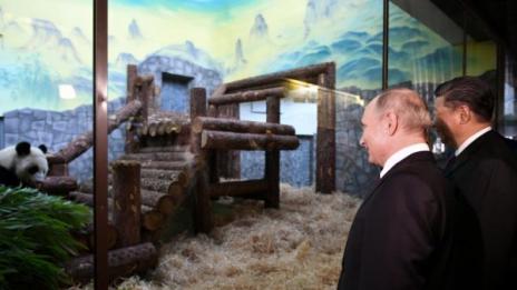 Панда дипломацията на Китай накара Путин да се усмихне  