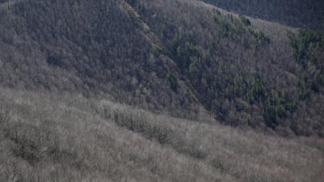 България финансира обновяването на костница край Цариброд