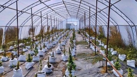 Организирана престъпна наркогрупа разкриха във Варна