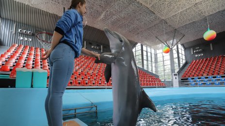 Делфинариум Варна посреща туристите по четири пъти на ден през лятото