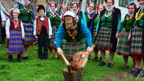 Най-хубавия петел изкараха на мегдана в Голица на 2 февруари (СНИМКИ)