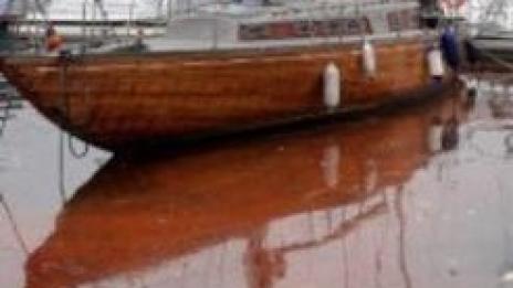 Морската вода се оцвети в червено