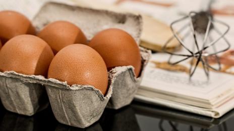 И в Испания са открити яйца, съдържащи химикала фипронил 