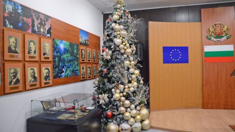 Екипът на ДГ 40 "Детски свят" украси за Коледа два етажа в Община Варна