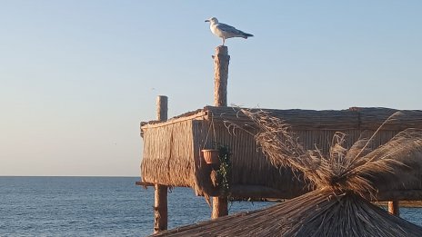 Слънчево време в цялата страна днес