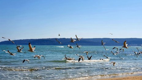 Седмицата започва с облачно време