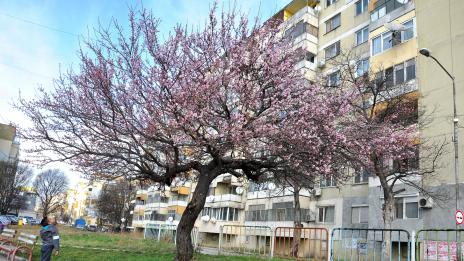 Пролетта във Варна дойде (СНИМКИ)