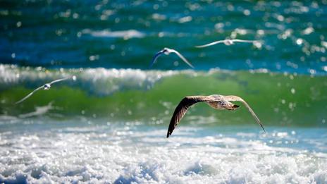 Слънчево, ще духа слаб вятър