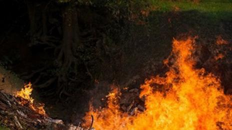 Локализираха пожара край Свиленград